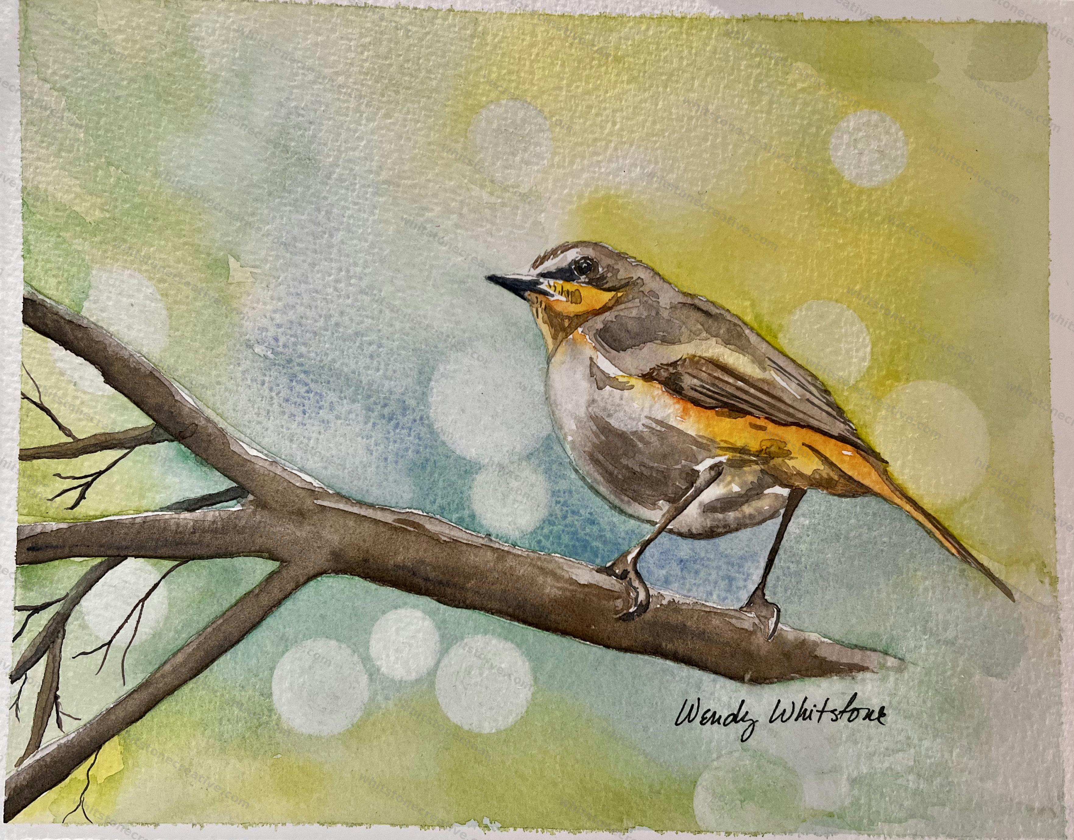 Bird on a Branch