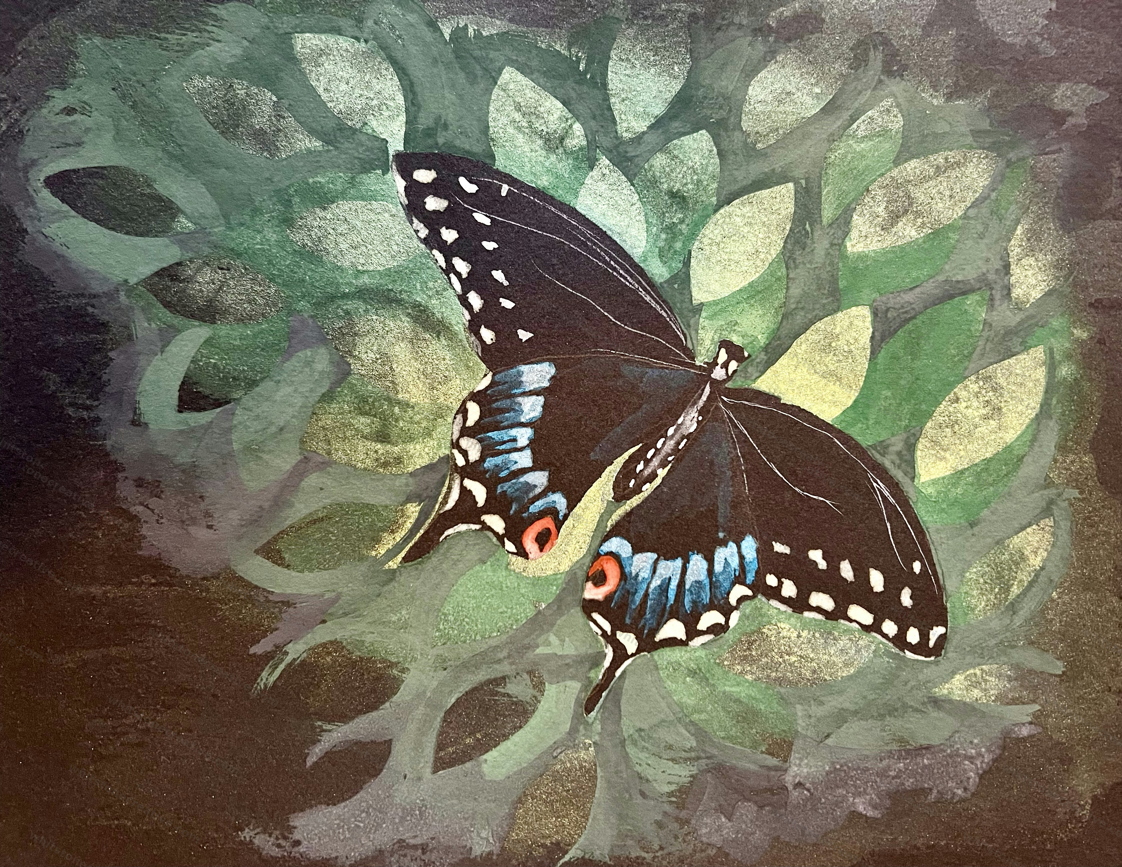 Black Swallowtail