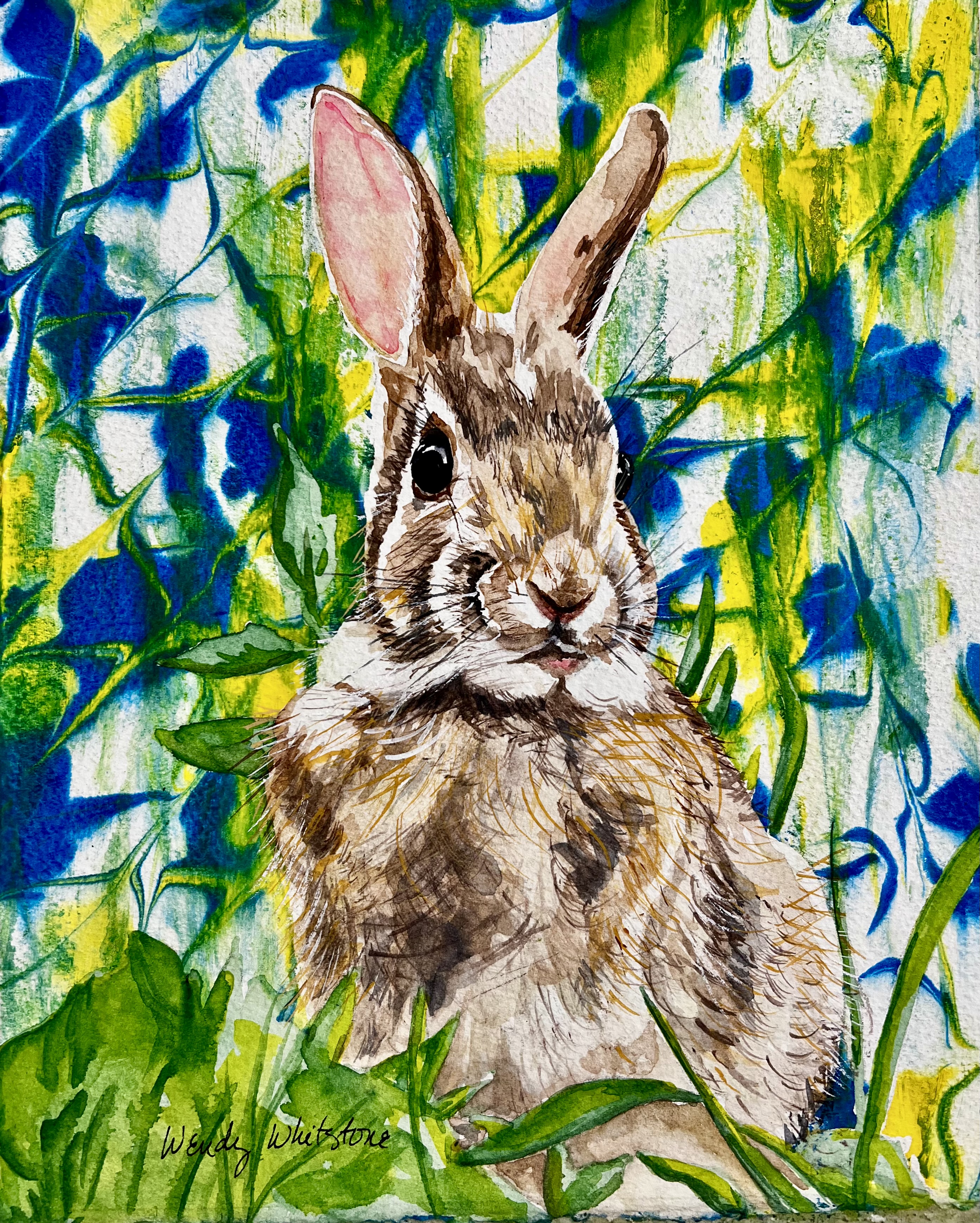 Bunny in the grass