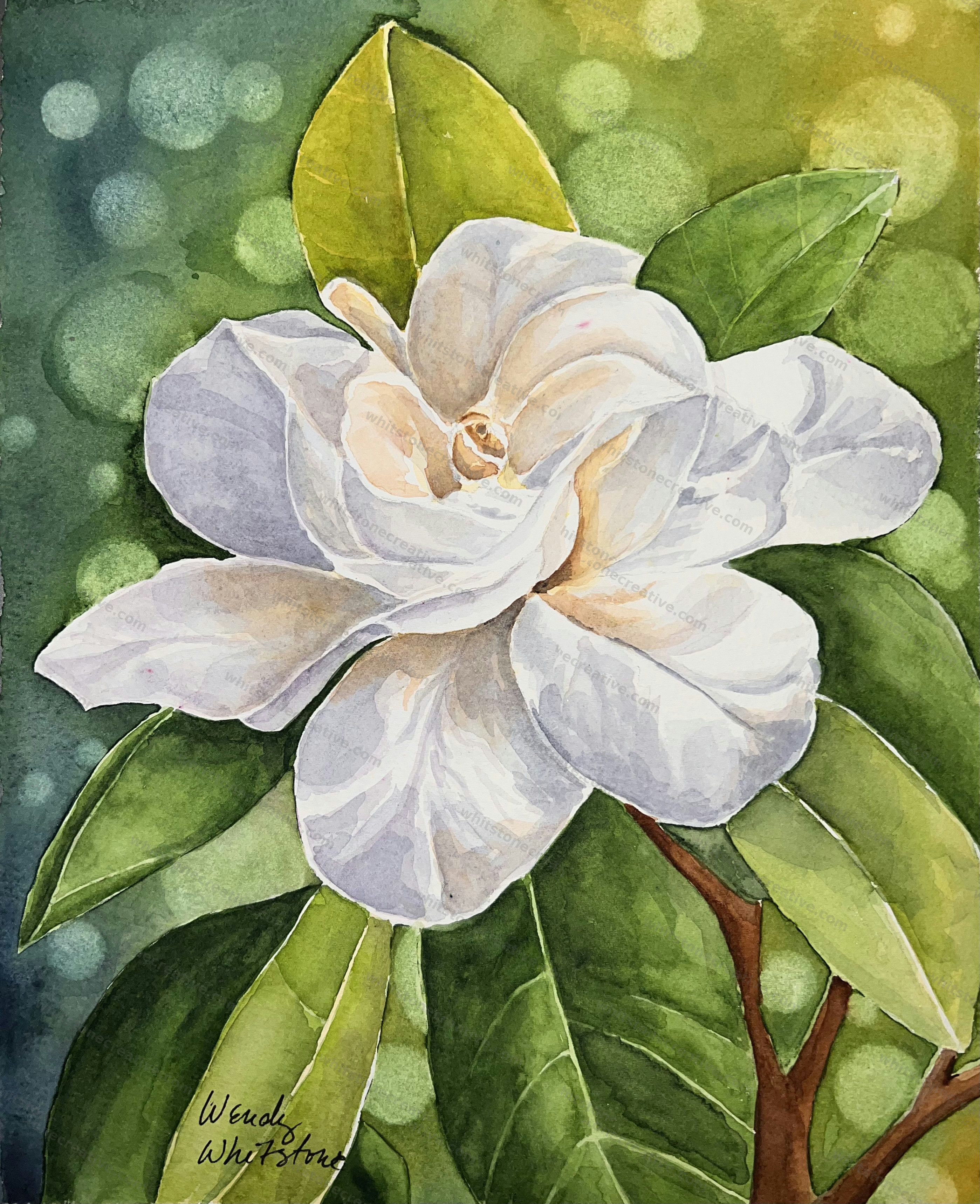 Magnolia