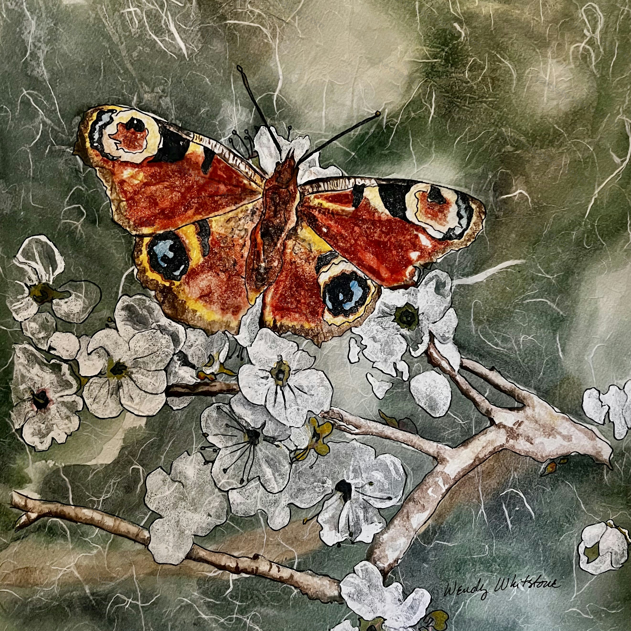 Peacock butterfly on white flowers