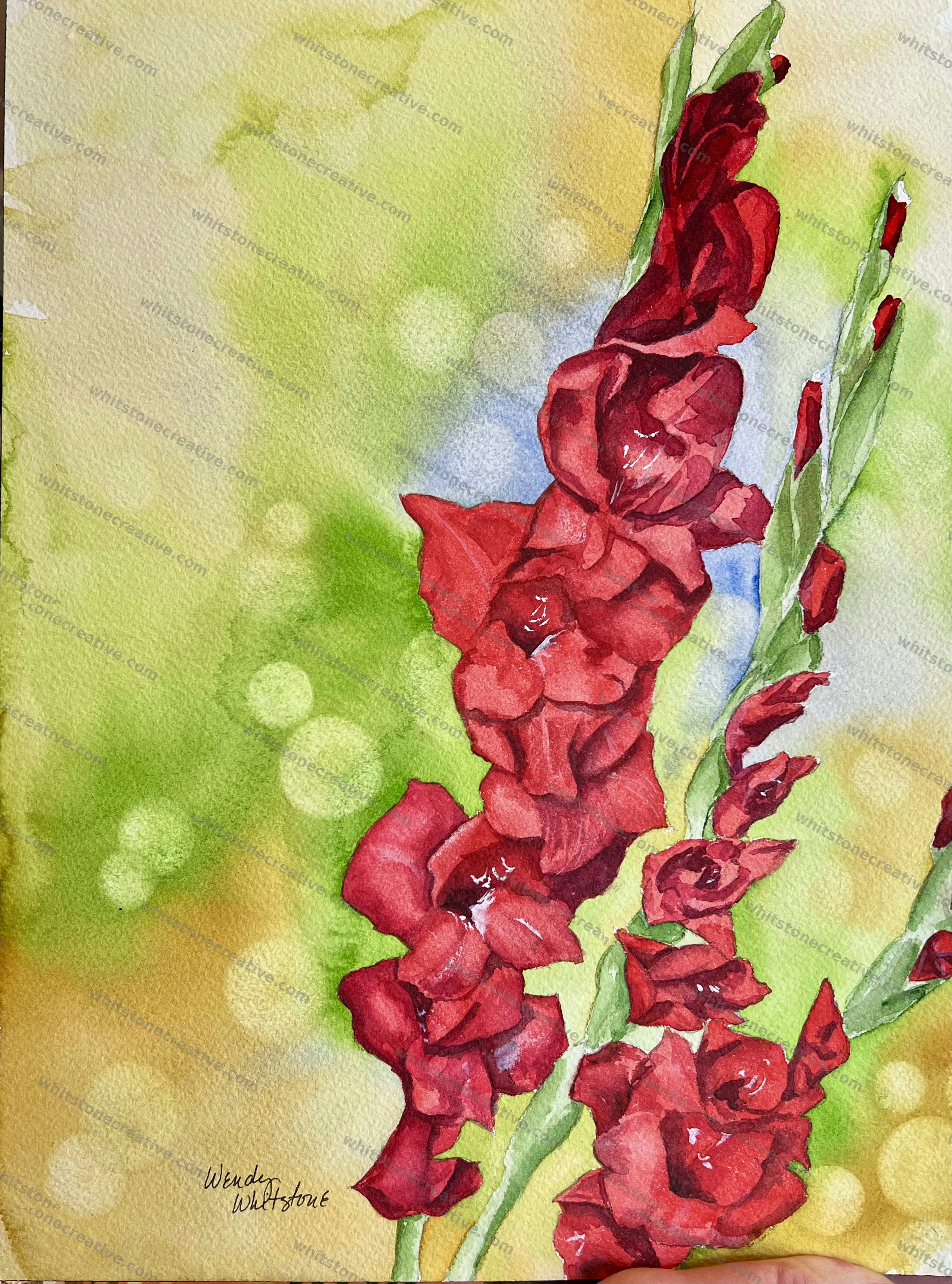 Red Gladiolus