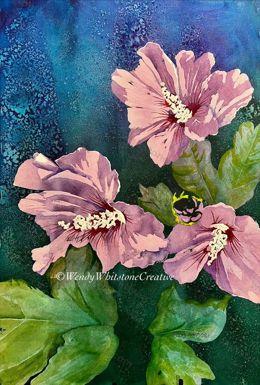 Rose of Sharon
