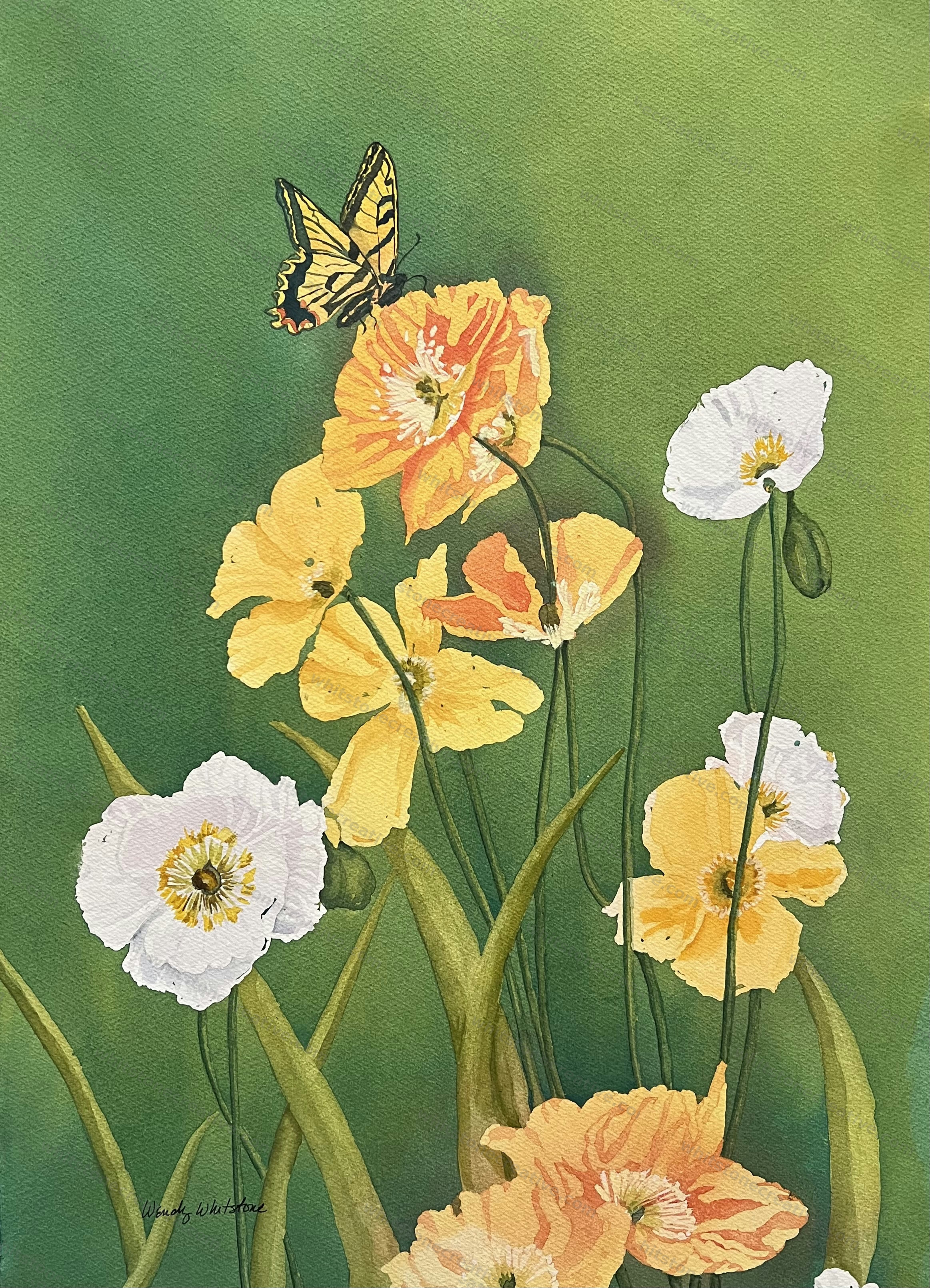 Swallowtail in Orange