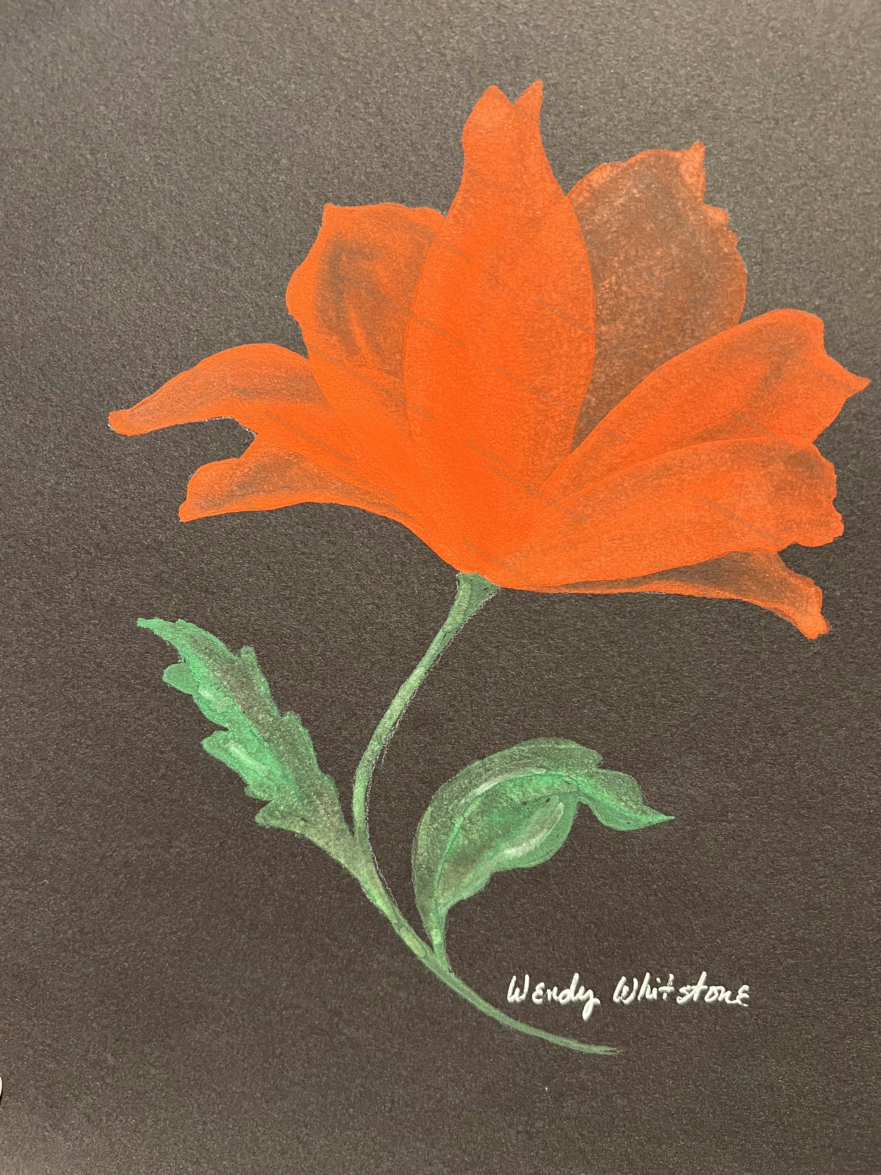 Transparency in Orange