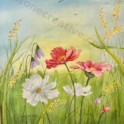 Walk through the Wildflowers